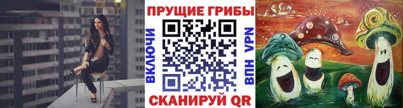 купить Суздаль Псилоцибиновые грибы мухоморы